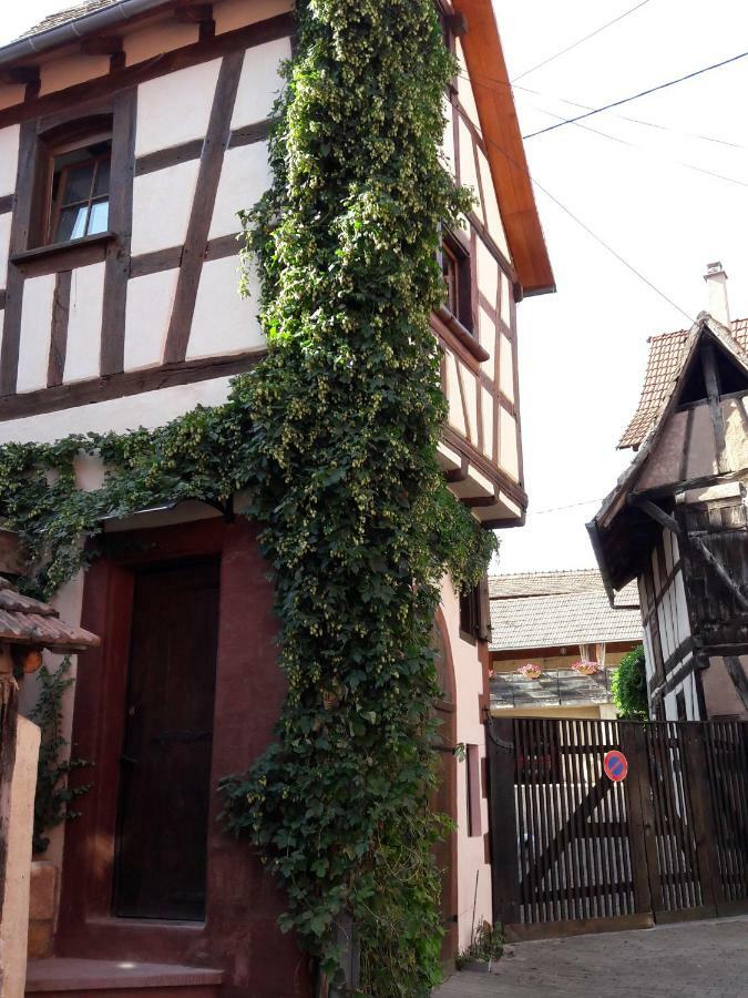 Apartment Comme Tour Dans Le Centre Historique