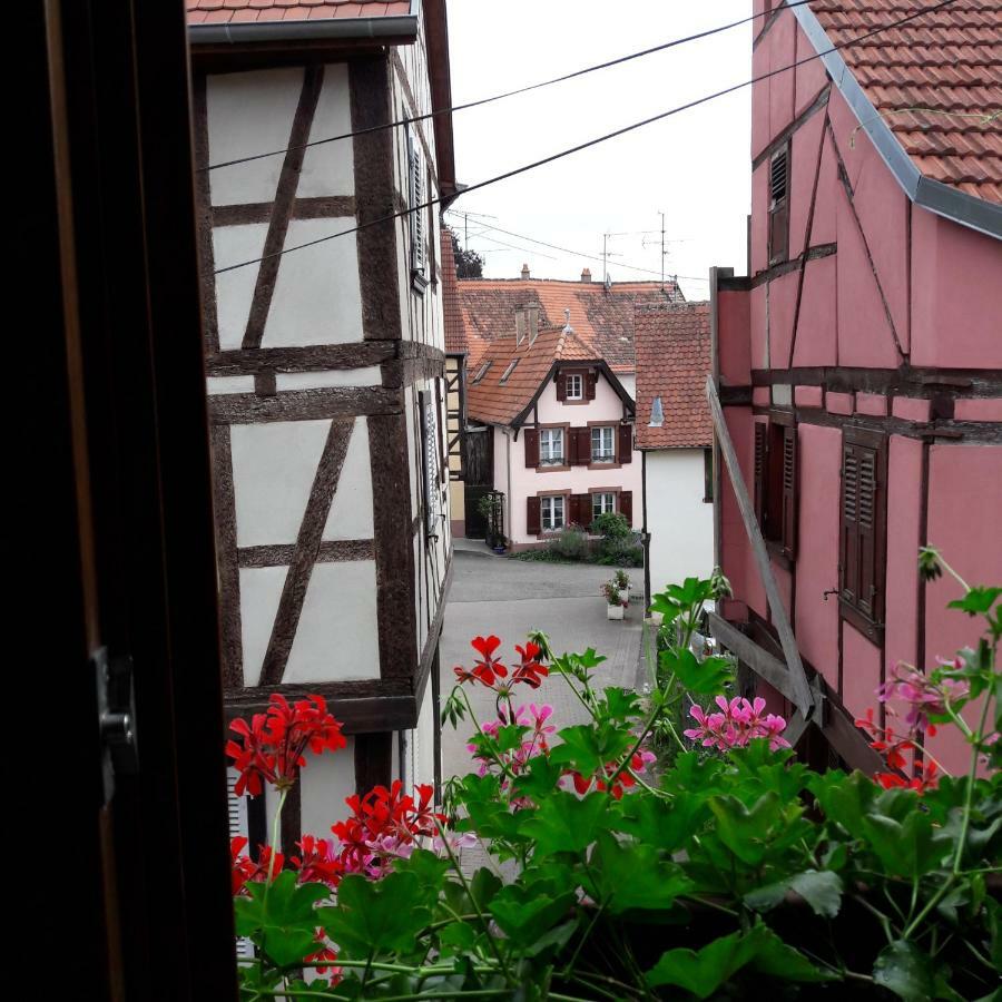 Apartment Comme Tour Dans Le Centre Historique Bouxwiller (Bas-Rhin)